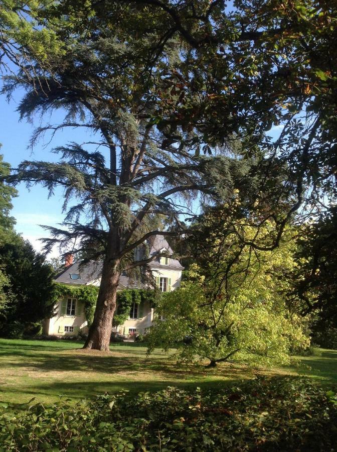 Chateau De La Villette Ardentes Экстерьер фото